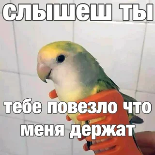 😏