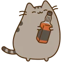 🐱