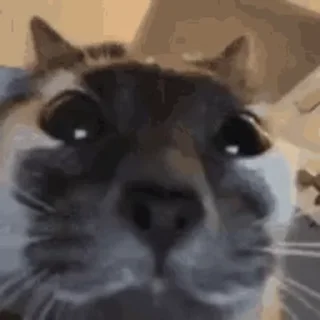 🤨