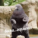 😆