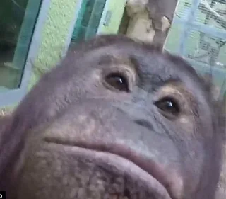 😗