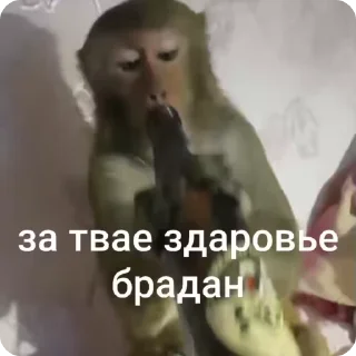 🥂