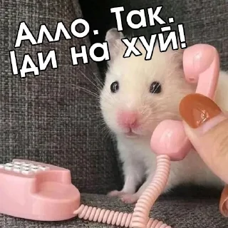 🥱