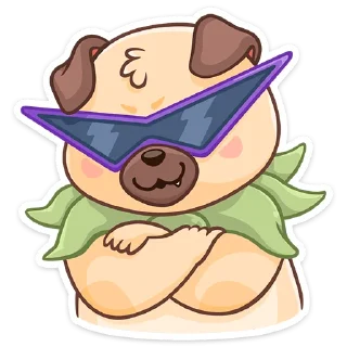 😎