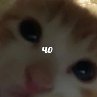 ❓