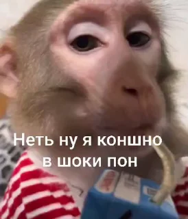 🤩