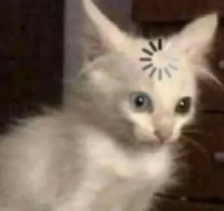 😨