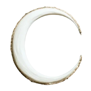🌚