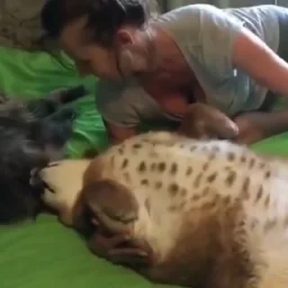 🤪
