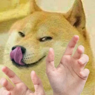 🤚