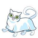 🐈