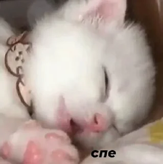 😴