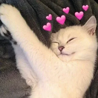💕