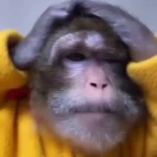 🌟