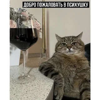 😏