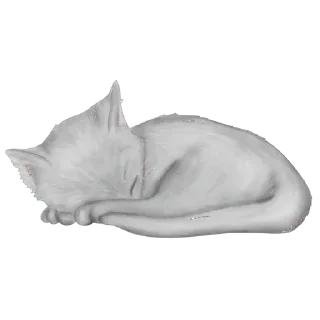 🐈