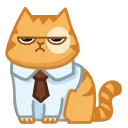 👨‍💼