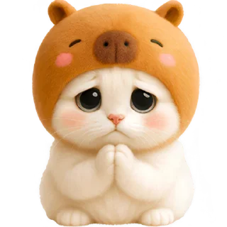 🙏