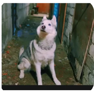 👍