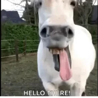 😁