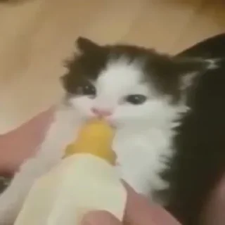 😋