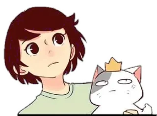 🐈