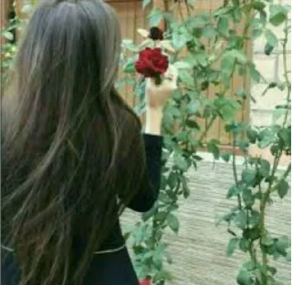 🌹