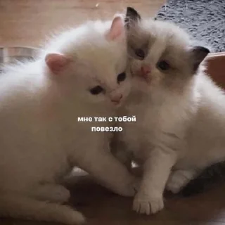 ❤️