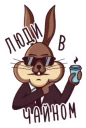 😎