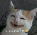 😂