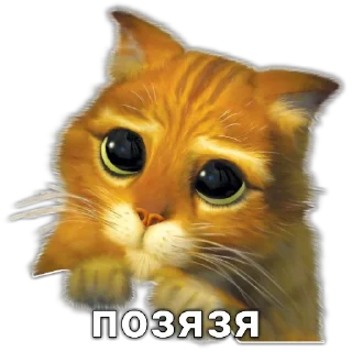 🥺