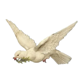 🕊