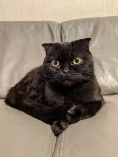 😳