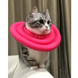 🥰