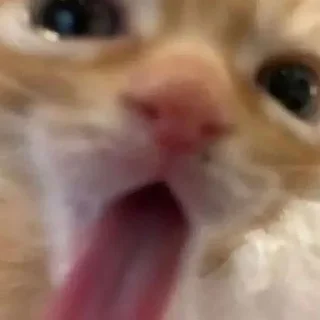 👅