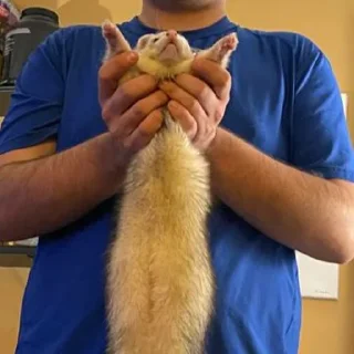 🤲