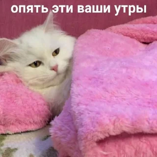 😰