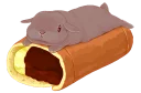 🐰