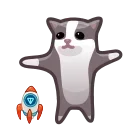 🚀