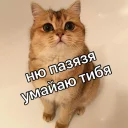 🤗