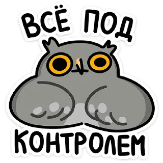 🦉