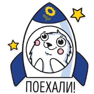 🚀