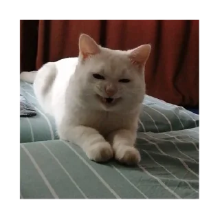 😠