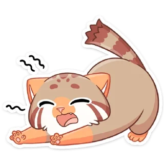 😴