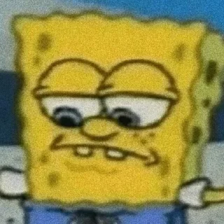 🧽