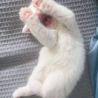 📆