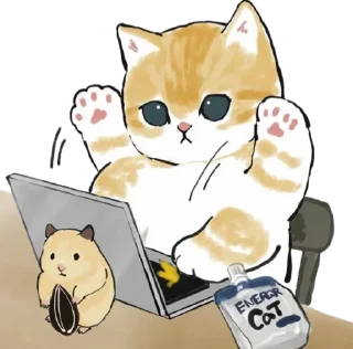 💻