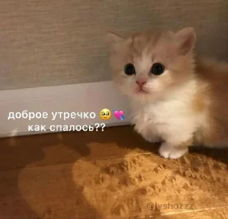 💝