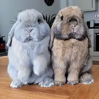 😁