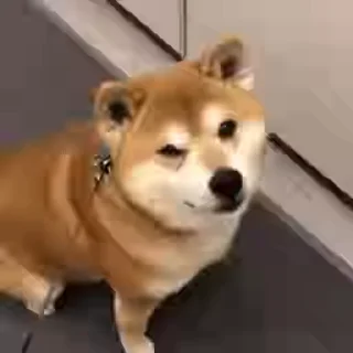 😉